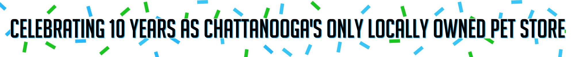 Nooga Paws 10th Anniversary Top Banner